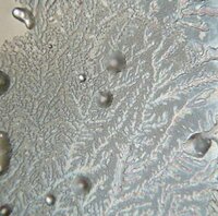 Foto's van gevitaliseerd en gestructureerd water