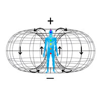 Hoe draagt de watervitaliser bij aan de transformatie van ons bewustzijn?